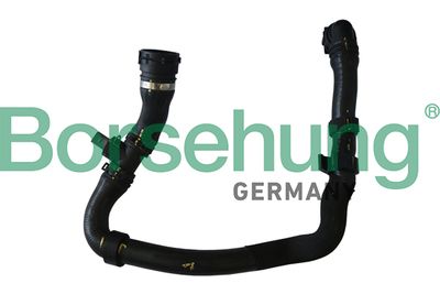 Coolant Pipe Borsehung B11960