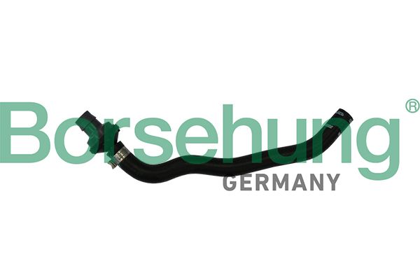 Borsehung B11971 Hose, crankcase ventilation