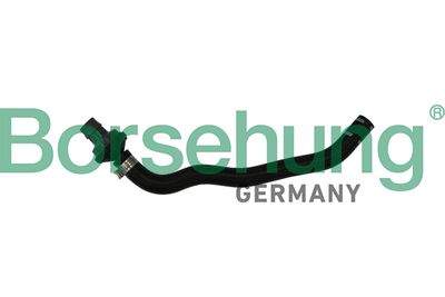 Hose, crankcase ventilation Borsehung B11971