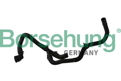 Coolant Pipe Borsehung B11972