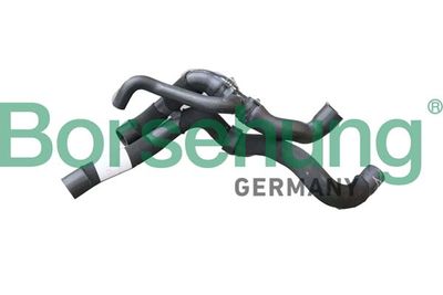 Coolant Pipe Borsehung B11974