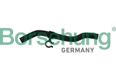 Coolant Pipe Borsehung B11975