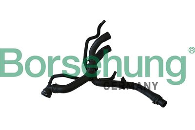Coolant Pipe Borsehung B11977