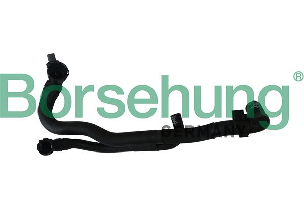 Borsehung B11978 Coolant Pipe