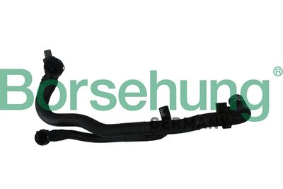 Coolant Pipe Borsehung B11978