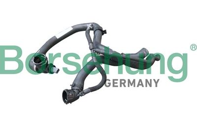 Coolant Pipe Borsehung B11985