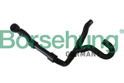 Coolant Pipe Borsehung B11987