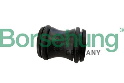 Coolant Flange Borsehung B11990