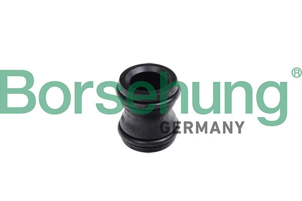 Borsehung B11991 Coolant Flange