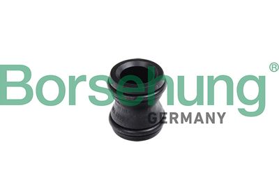 Coolant Flange Borsehung B11991