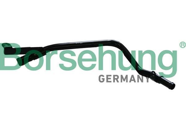 Borsehung B11993 Coolant Pipe