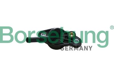 Coolant Flange Borsehung B11998