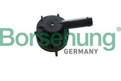 Valve, crankcase ventilation Borsehung B12000