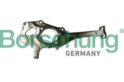 Steering Knuckle, wheel suspension Borsehung B12109