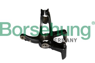 Steering Knuckle, wheel suspension Borsehung B12113