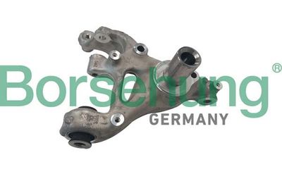 Steering Knuckle, wheel suspension Borsehung B12117