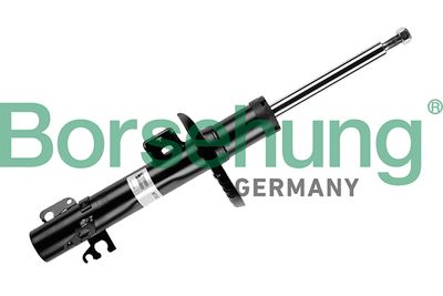 Shock Absorber Borsehung B12138