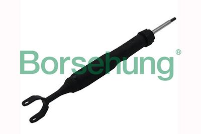 Shock Absorber Borsehung B12140