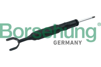 Shock Absorber Borsehung B12142