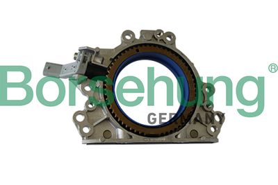 Shaft Seal, crankshaft Borsehung B12178