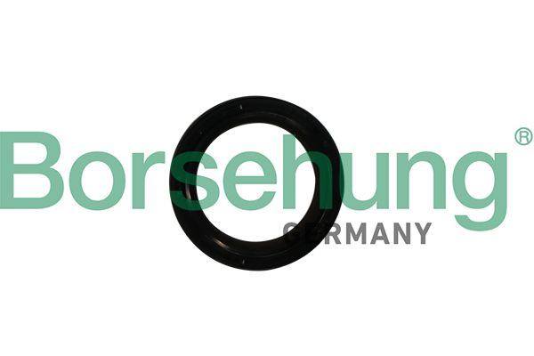 Borsehung B12179 Shaft Seal, crankshaft