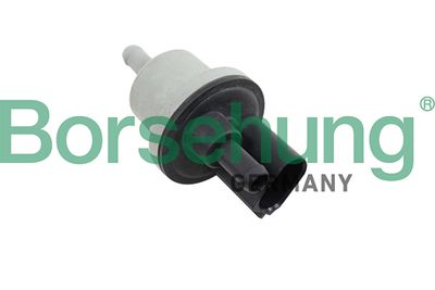 Charcoal Filter Valve Borsehung B12188
