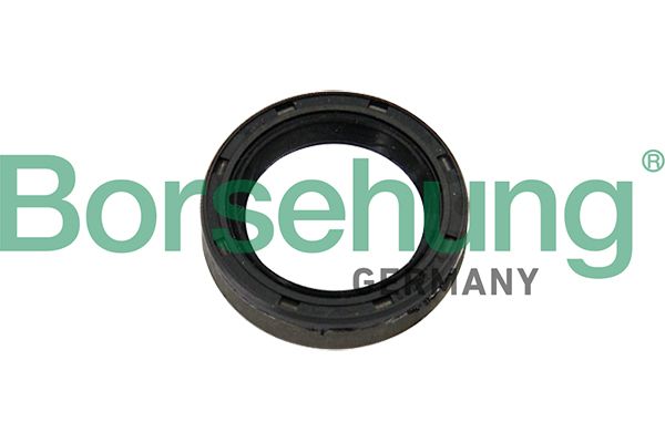 Borsehung B12192 Shaft Seal, clutch release bearing shaft