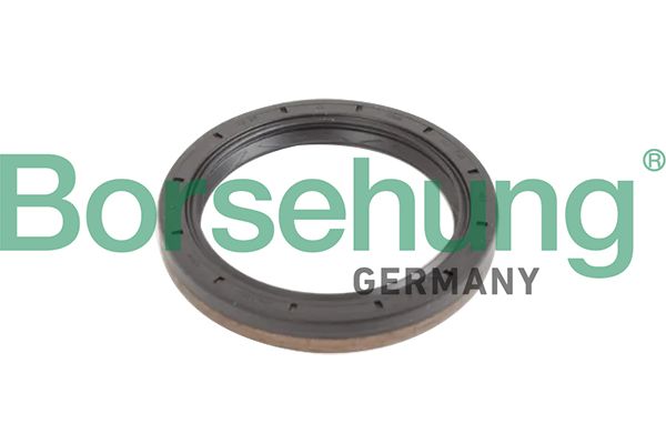 Borsehung B12193 Shaft Seal, manual transmission flange