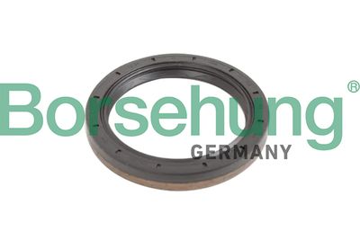 Shaft Seal, manual transmission flange Borsehung B12193