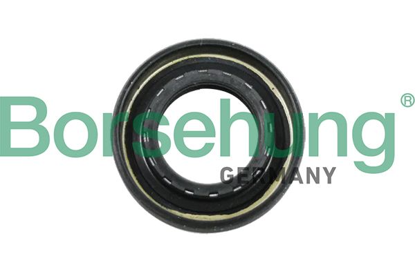 Borsehung B12194 Shaft Seal, manual transmission