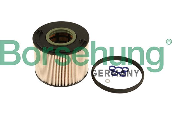 Borsehung B12201 Fuel Filter