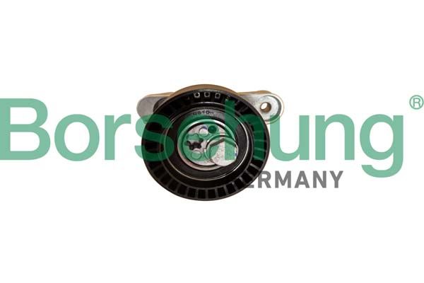 Borsehung B12202 Belt Tensioner, V-ribbed belt