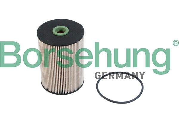 Borsehung B12214 Fuel Filter