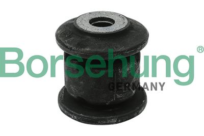 Mounting, control/trailing arm Borsehung B12229