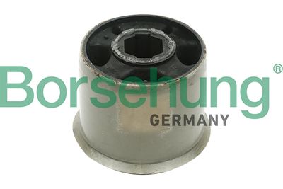 Mounting, control/trailing arm Borsehung B12230