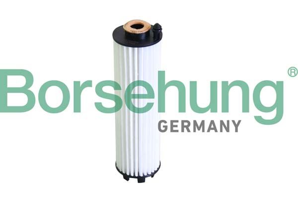 Borsehung B12289 Oil Filter