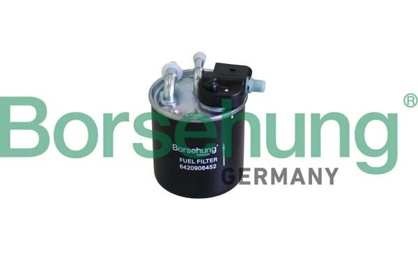 Borsehung B12290 Fuel Filter