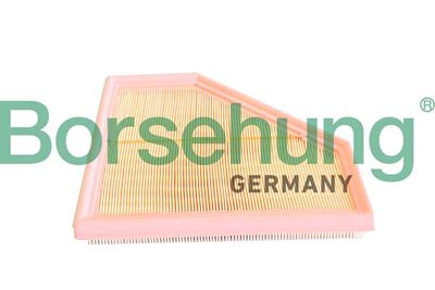 Air Filter Borsehung B12292