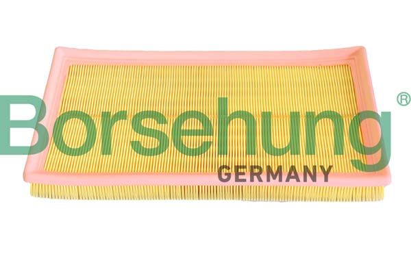 Borsehung B12293 Air Filter