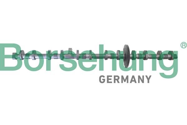 Borsehung B12296 Eccentric shaft, camshaft adjustment