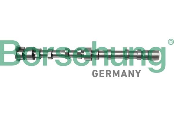 Borsehung B12298 Camshaft