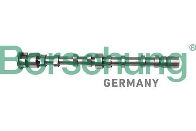 Camshaft Borsehung B12298