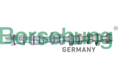 Camshaft Borsehung B12299