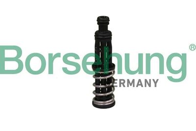 Oil Pressure Valve Borsehung B12309