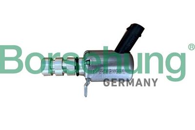 Oil Pressure Valve Borsehung B12313