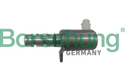 Oil Pressure Valve Borsehung B12314