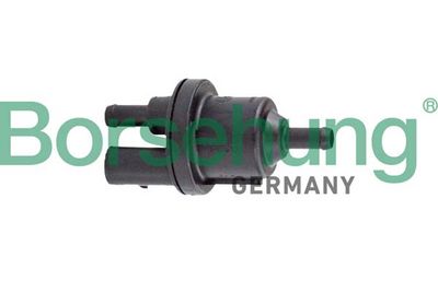 Charcoal Filter Valve Borsehung B12317