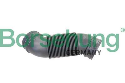 Intake Snorkel Borsehung B12323