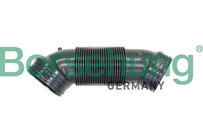 Intake Snorkel Borsehung B12324