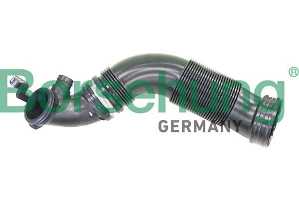 Borsehung B12325 Intake Snorkel